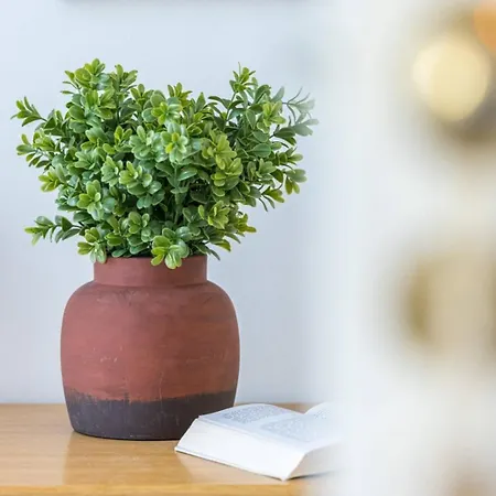 شقة Buffa 21 - 2min From The Sea - Terrace *