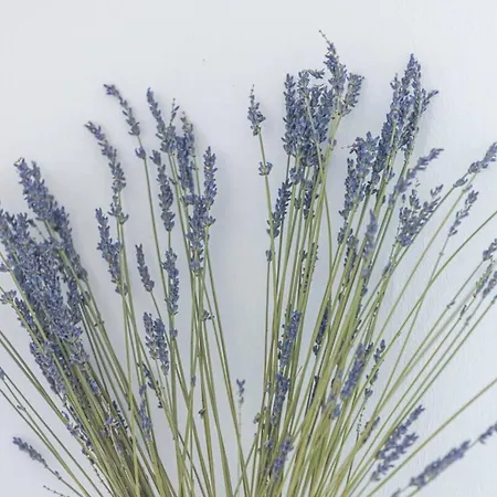 דירה Buffa 21 - 2min From The Sea - Terrace *